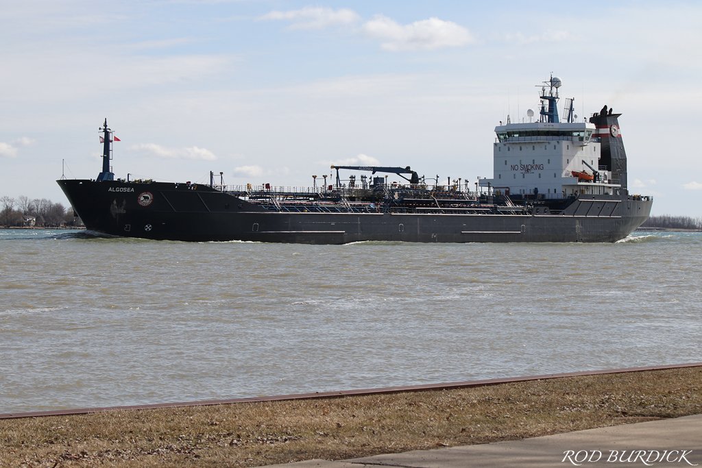 RodBurdick's tweet photo. @AlgomaCentral 
On the St. Clair River (March 17, 2019)
#algosea #stclairriver #greatlakes #marinecity #algoma https://t.co/KXNdEQVsxP
