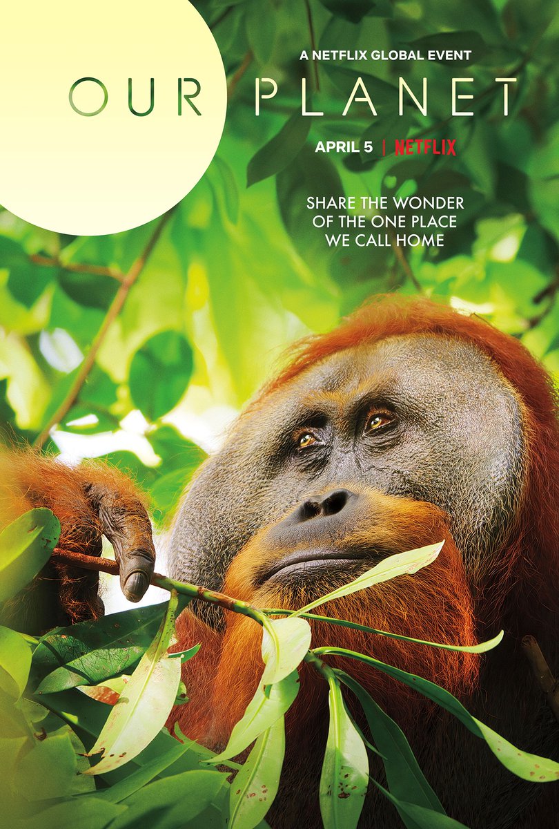 AidanRGallagher's tweet image. Excited to be the first to share three of the official posters for @OurPlanet! As an environmental advocate, I'm excited for the world to get a closer look at the place we call home. Check it out on @Netflix April 5th!