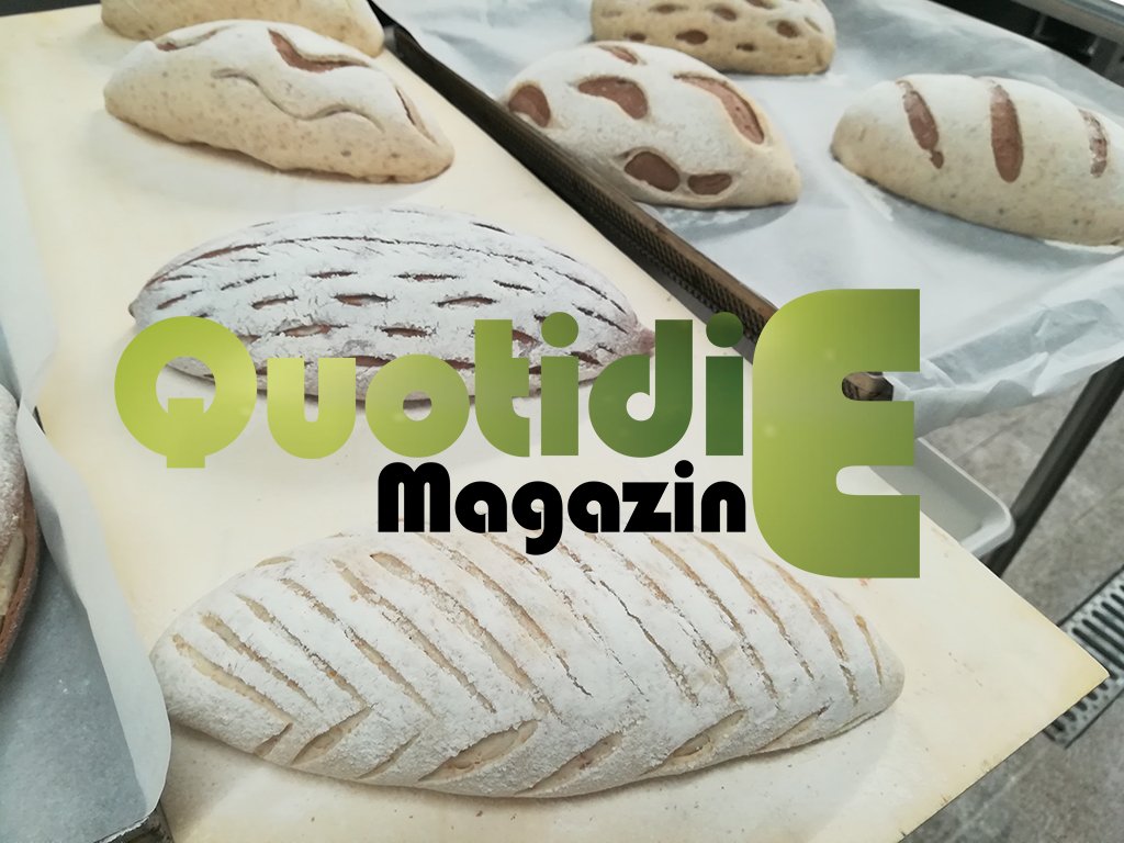 QuotidieMensile's tweet photo. Il nostro Direttore @LauriSimona al lavoro con @paolinobucca #corsi #eventi #master #pane #pizza #panificatori #associazioni #enti #agenzie #pizzaioli #media #stampa #MadeinItaly #prodottitipici #show #cooking #formazione #aggiornamento #avviamento #tv #skytv #ALICE #food #bread https://t.co/hr3T9FA6S8