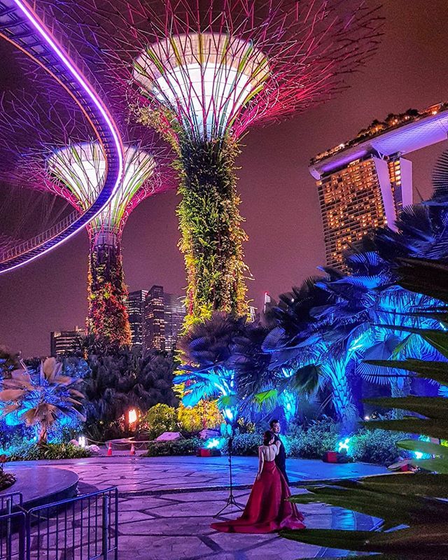 PulchrorumT's tweet photo. #Wedding #Night

#instasg #lifeisbeautiful #travelling #sg #instapassport #instatraveling #mytravelgram #travelgram #travelingram #travel #travels #travelbug #sgtraveller #traveller #travelers #travellers #singapore #singaporean #gardensbythebay #travelo… https://t.co/kNJ5vanMWD https://t.co/suAgOF6H12