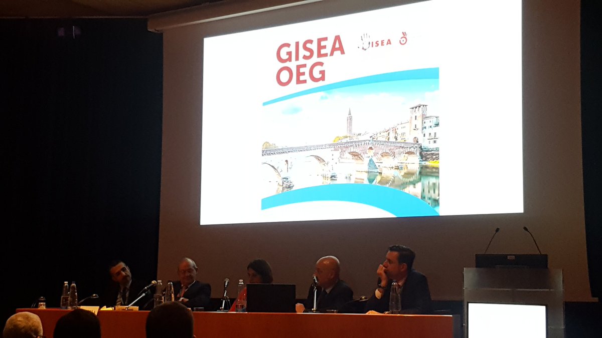 NancyLascaro's tweet photo. Very interesting second session: many suggestions for research and therapy
#gisea2019 https://t.co/JbsL5WZYQo