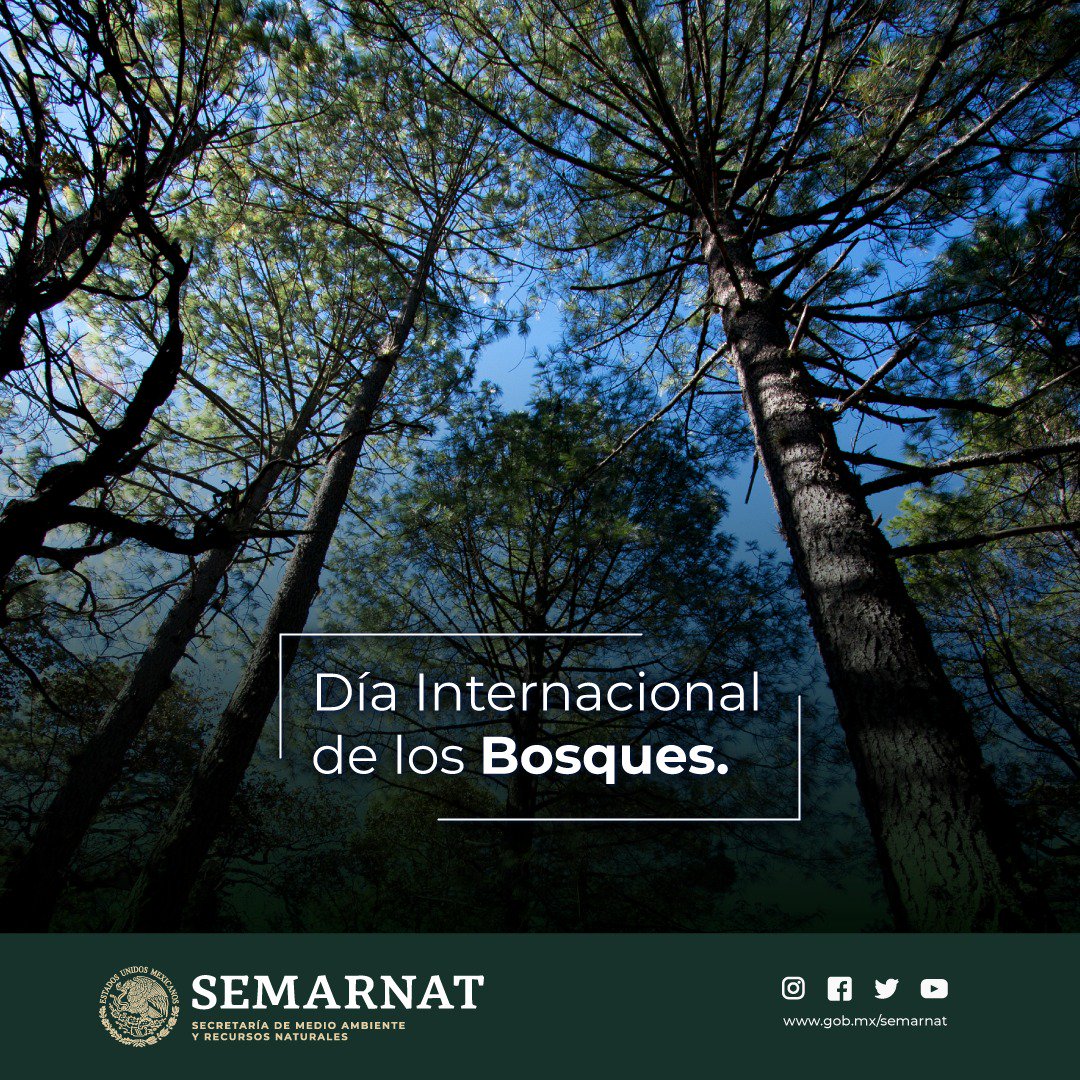 SEMARNAT México tweet media
