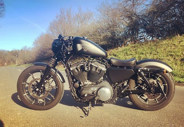 FeliFromHell's tweet photo. Perfect weather today ☀️ 😎

#harleydavidson #iron883 #sportster #sportstersquad #harley #sportstermafia #builtnotbought #ironlizzy #vtwin #bobber #chopper #allblackeverything #black @harleydavidson @harleychoppers @harleydavidsonaddicts @sportstergra… https://t.co/sdUt8txktS https://t.co/E1FTlsvQ2G