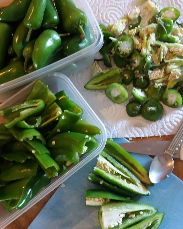 On #jalapeno prep duty 🌶
Don't put finger up nose or in eye afterwards😉
.
#jalapenopeppers #jalapenopoppers #chillies #chilis #chilipeppers #lovechillies #chillilovers #catering #traiteur #piment #foodie #spicy #hotchilli #hotandspicy #kitchenprep ift.tt/2TYoyxA