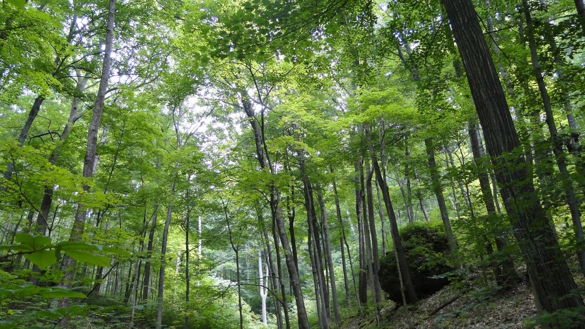 FOTOFOCUSCINCY's tweet photo. Experience 20,000 acres of wilderness through the photographer’s lens with "A Year on the Edge" in the Mallory Gallery @CincyMuseum. Admission is free https://t.co/q3BouIUMSp @nature_org #FFspotlight https://t.co/XQSUckxgD4