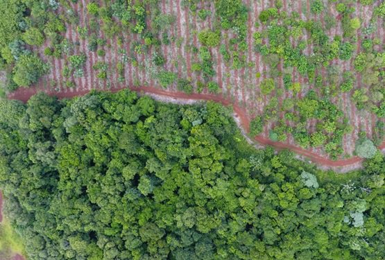 itaipuparaguay's tweet photo. #ITAIPUBinacional ejecuta proyectos para la recuperación y preservación de los bosques, uno de los más emblemáticos es #ITAIPUPreserva, a través del cual se restauran más de 2.300 hectáreas de áreas verdes. #DIB2019
Lea más en ➡https://t.co/g33m6Aq8Ex
#EnergíaParaLaGente https://t.co/Xsp37m804d