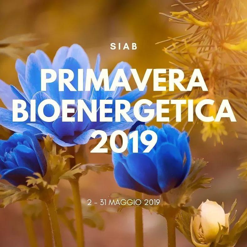 Giovenchim's tweet photo. #consulenze #seminar #bioenergetica #gratis https://t.co/rW6iw7ZCpT