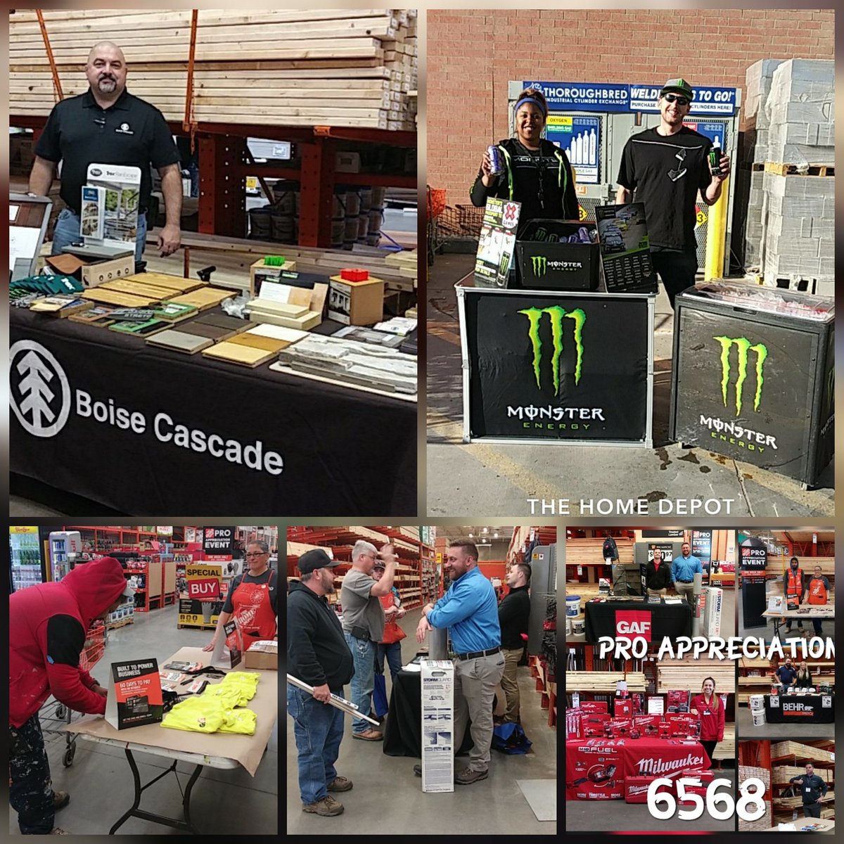 Elena Vasquez tweet media