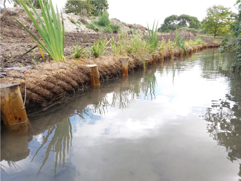 LandandWaterCo's tweet photo. #ThrowbackThursday to this great image showing our pre-planted coir rolls we installed for an erosion control project. #CoirRolls #Environment #MoreThanDredging #MarginalPlants #Wildflowers https://t.co/gfQChEA7za