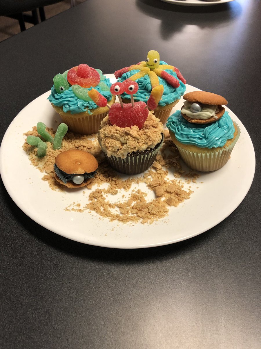FCS_Colvey's tweet photo. Life Skills Cupcake Decorating Competition Vote for your favorite! https://t.co/p5hirJaUXq