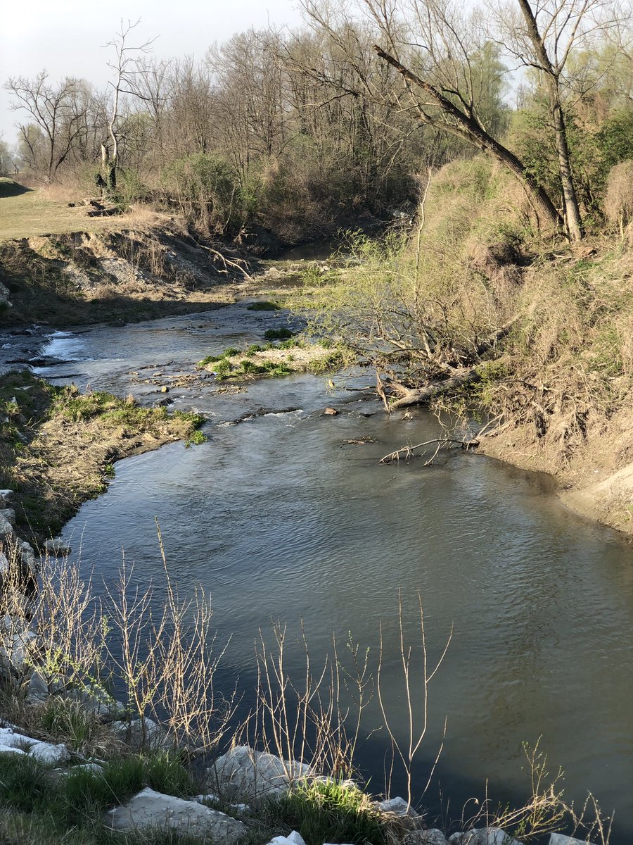 LodiToday's tweet photo. Il nostro fiume ❤️ #adda #Lodi https://t.co/8VS7FZjR5f