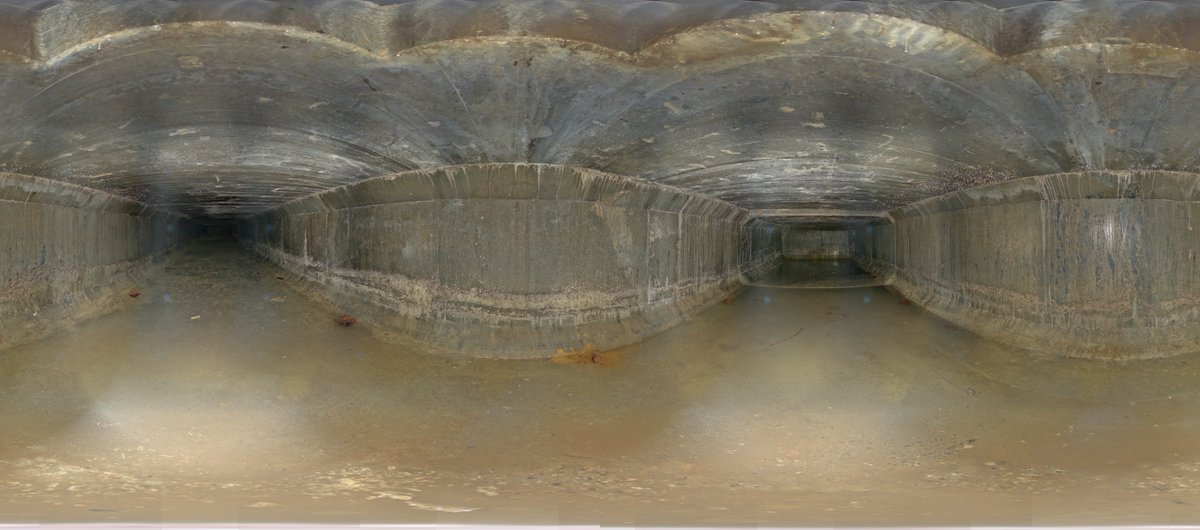 Graham Bateson 💙 tweet media