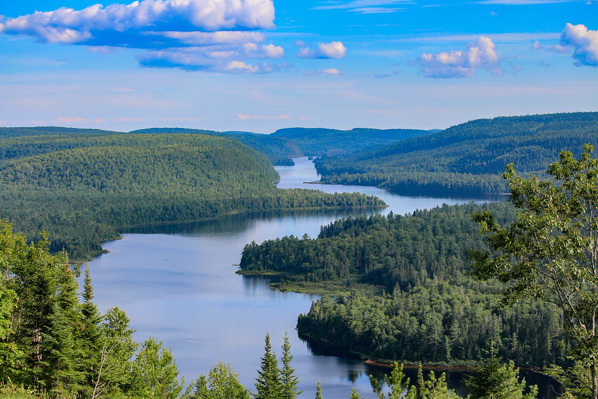 UofGuelphNews's tweet photo. Tomorrow is #WorldWaterDay! #UofG, a world leader in water research, has several experts who can speak about water access, water quality and water policy. https://t.co/wXYxSnMzkg https://t.co/ebN59VNf6p