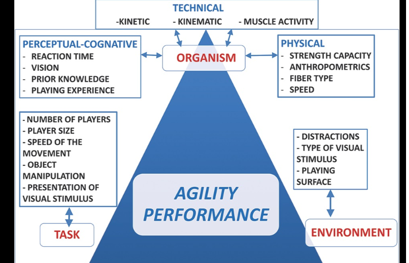 sciofmultispeed's tweet photo. 📖Cognitive Training for Agility: The Integration Between Perception and Action @Tania181 @MovementMiyagi 

❗️Must read
https://t.co/QHlJXJWN3k https://t.co/cPBmKYN2Nv