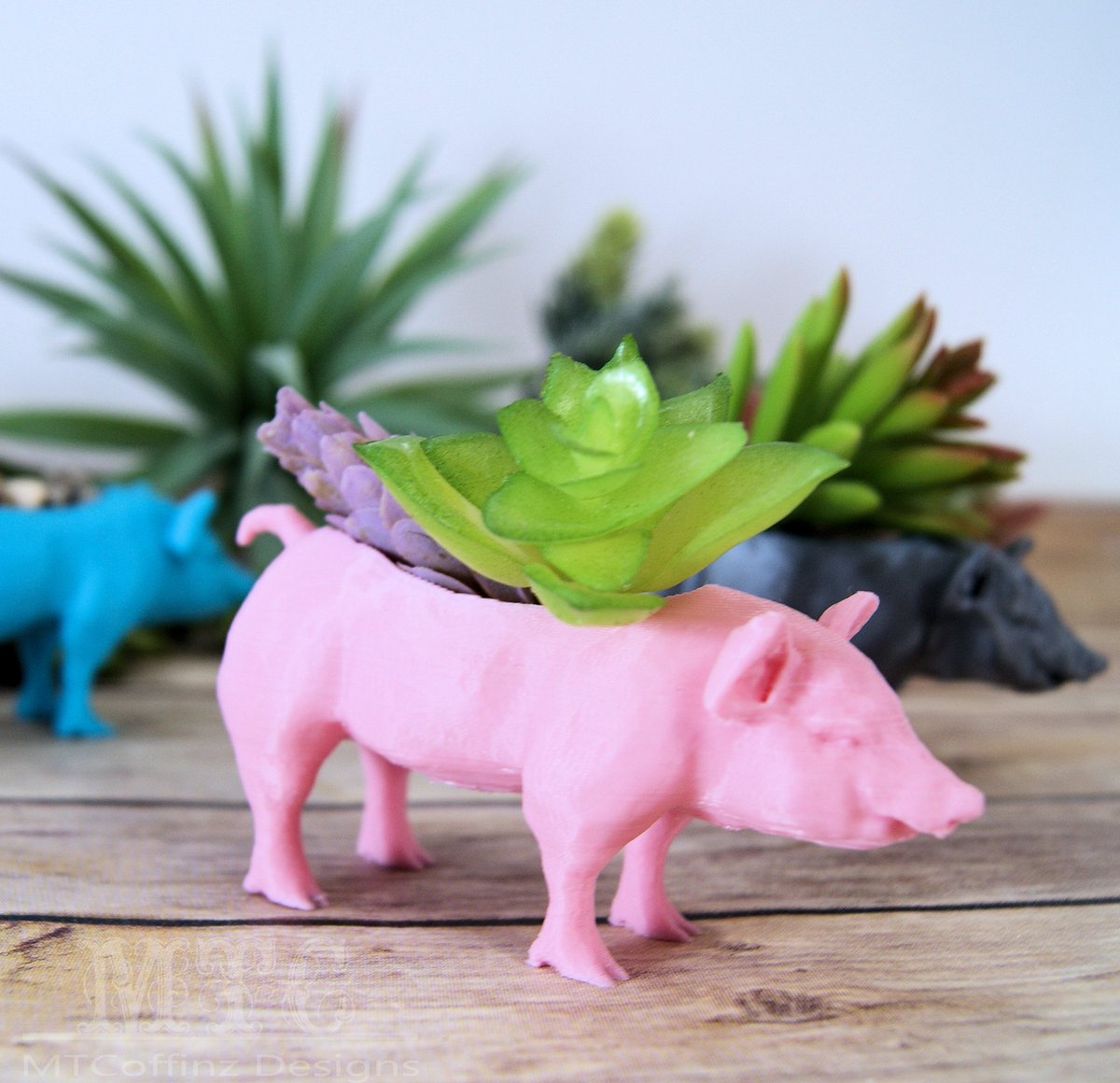 MTcoffinz's tweet photo. This little piggie holds your plants. #mtcoffinz https://t.co/fsgGATTuuF https://t.co/R6lZMILyR0