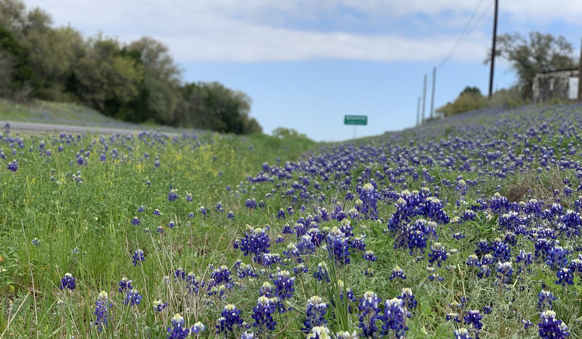 RealAleBrewing's tweet photo. Spring has sprung in Blanco, TX! https://t.co/eIr3Gdvyou