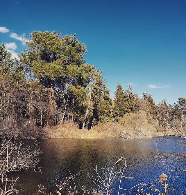 sarthetourisme's tweet photo. #Sarthetourisme La Sarthe et ses petits coins cachés 👀
.
📷 @julienbouliere
.
.
.
#sarthetourisme #sarthe #paysdelaloire #challes #nature #paysage #balade #etang https://t.co/F7HktgSnVD https://t.co/cGljVp67C2