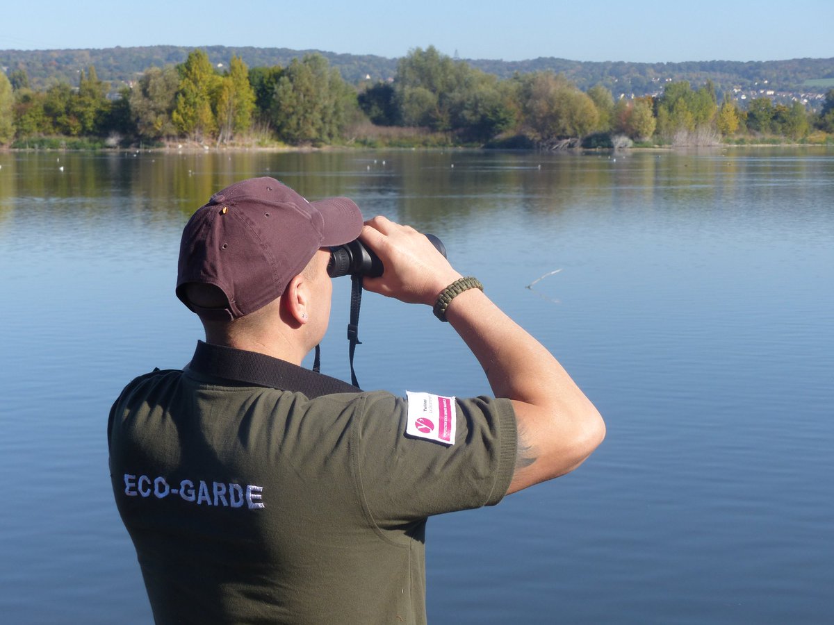 Les_Yvelines's tweet photo. En cette #JournéeInternationaleDesForêts, coup de projecteur sur le dispositif #EcoGarde des Yvelines qui sensibilise le public aux enjeux de la préservation des milieux naturels. Et si vous deveniez #bénévole ?
➡️ https://t.co/iZGyNpxZRl https://t.co/UiEazNITPM