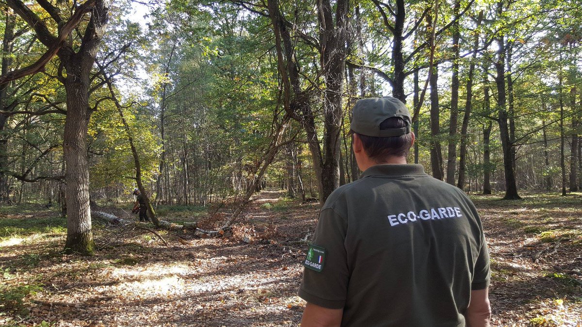 Les_Yvelines's tweet photo. En cette #JournéeInternationaleDesForêts, coup de projecteur sur le dispositif #EcoGarde des Yvelines qui sensibilise le public aux enjeux de la préservation des milieux naturels. Et si vous deveniez #bénévole ?
➡️ https://t.co/iZGyNpxZRl https://t.co/UiEazNITPM