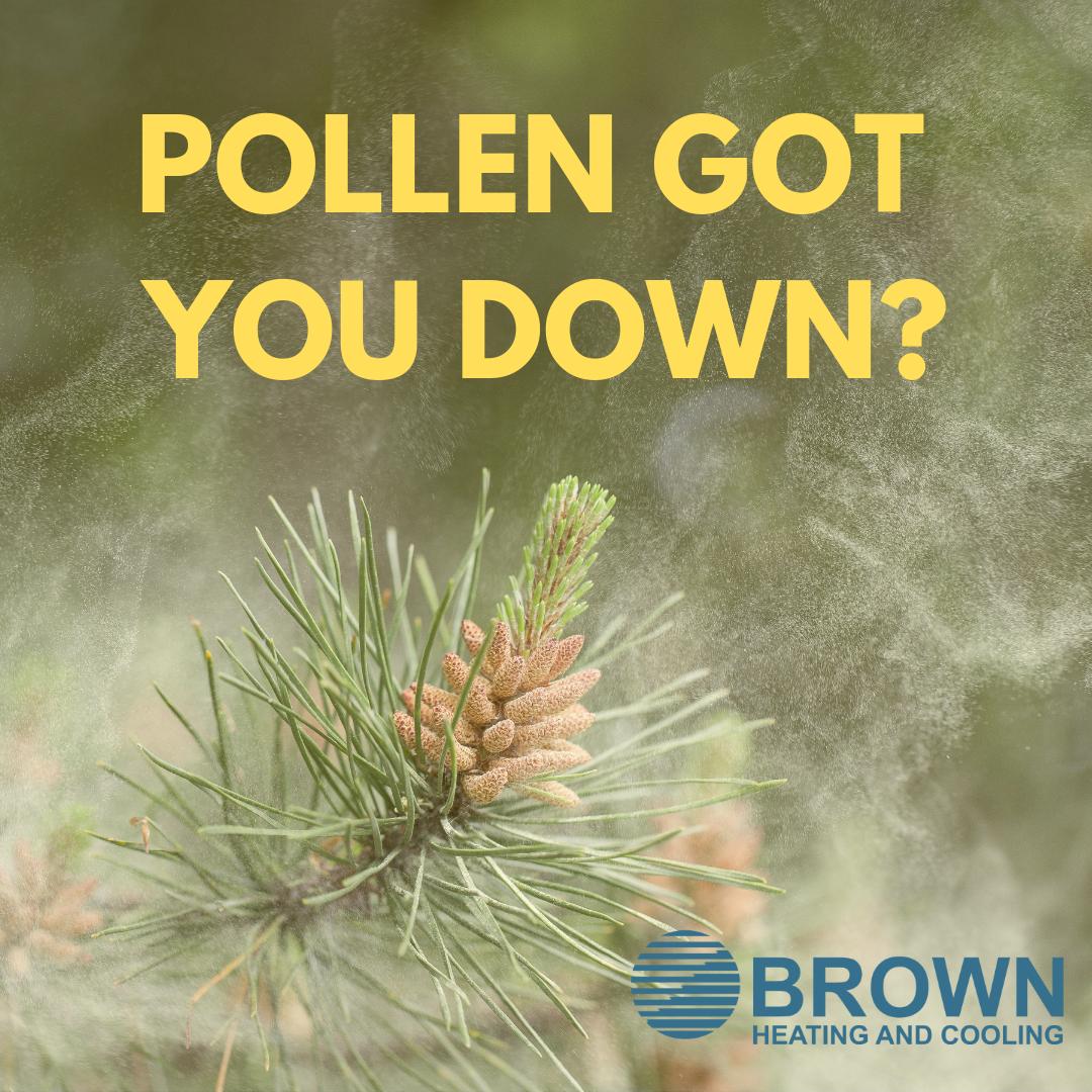 BrownHeatCoolAL's tweet photo. We can’t help with the pollen outside your home.  But simple steps like changing your air filter can minimize the amount that circulates inside.
Call to learn more about improving your indoor air quality.  205-871-8111
#BrownHeatingandCooling #SpringinAlabama #Pollen https://t.co/Df6NjVTphJ