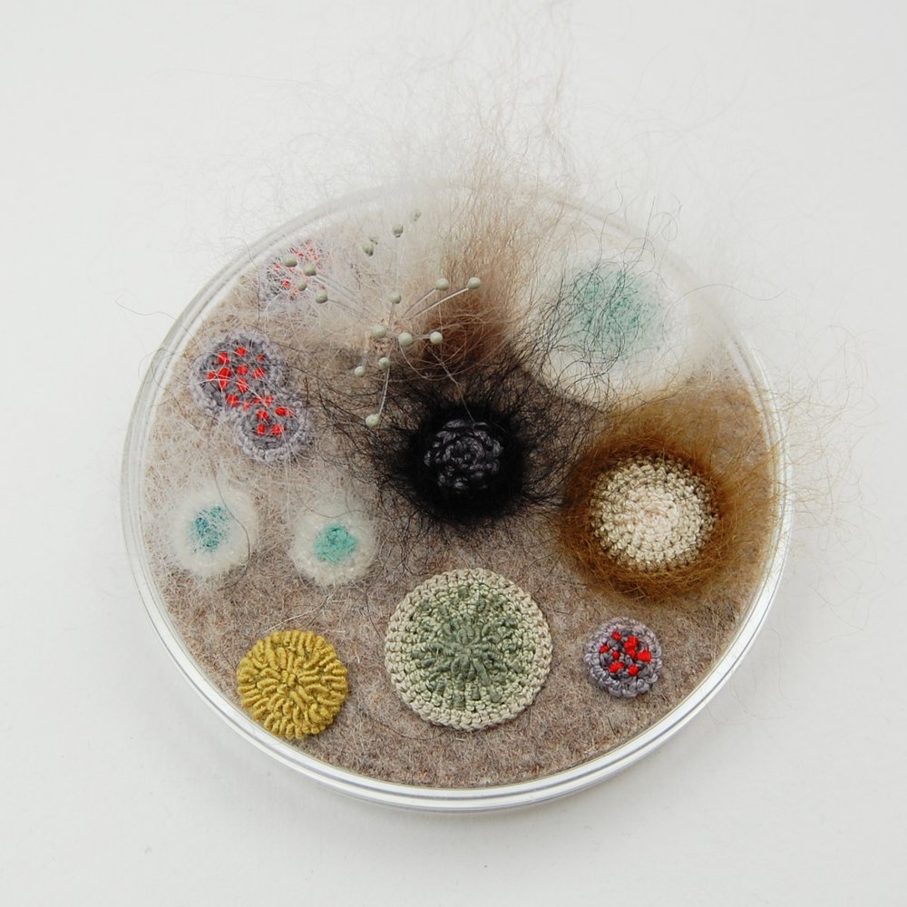 Crocheted and embroidered bacteria grow in Elin Thomas’s fiber art petri dishes thisiscolossal.com/2018/03/elin-t…