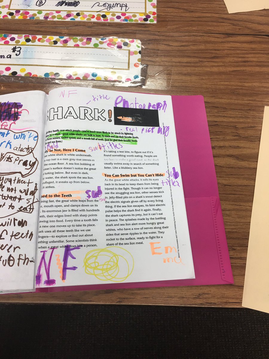 tabithapsencik's tweet photo. The kids have loved doing an article this week for our shared reading❤️#CrockettRoos #whywisd #RoosRead https://t.co/L8qjmtHZAs