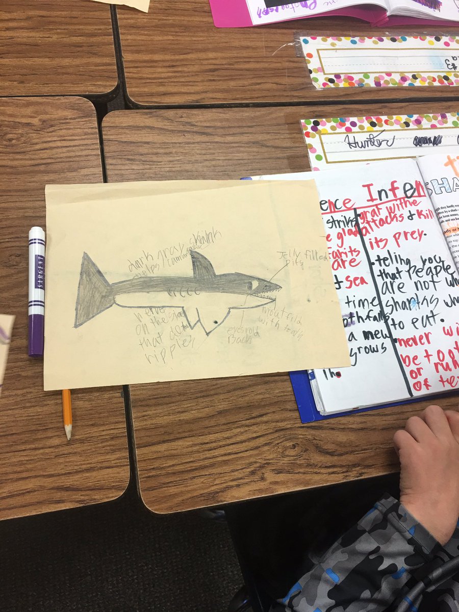 tabithapsencik's tweet photo. The kids have loved doing an article this week for our shared reading❤️#CrockettRoos #whywisd #RoosRead https://t.co/L8qjmtHZAs