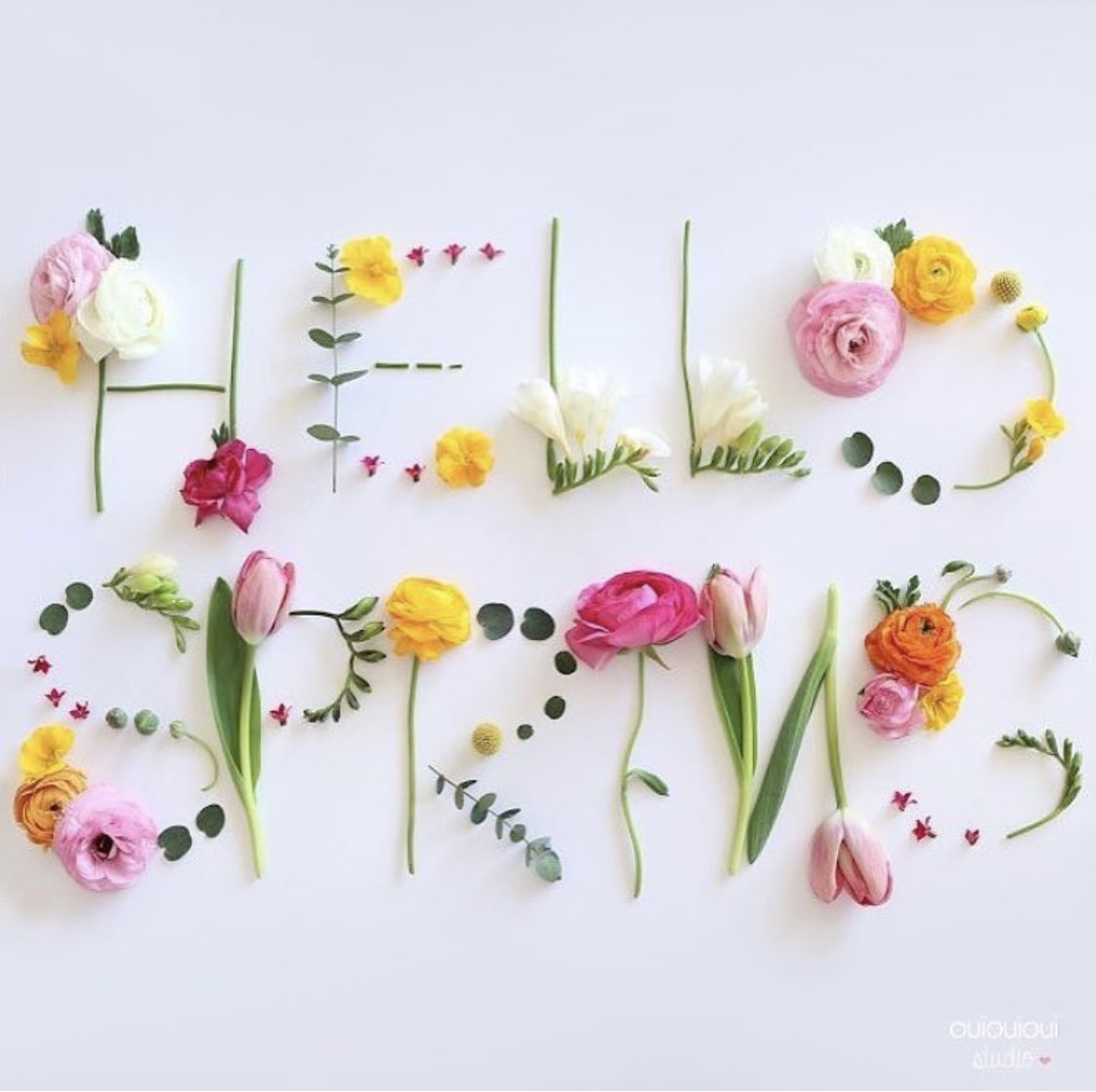 GriefCompass's tweet photo. Who else is soooooo ready for Spring? 
#equinox #SpringEquinox https://t.co/EHSNlOq0bd