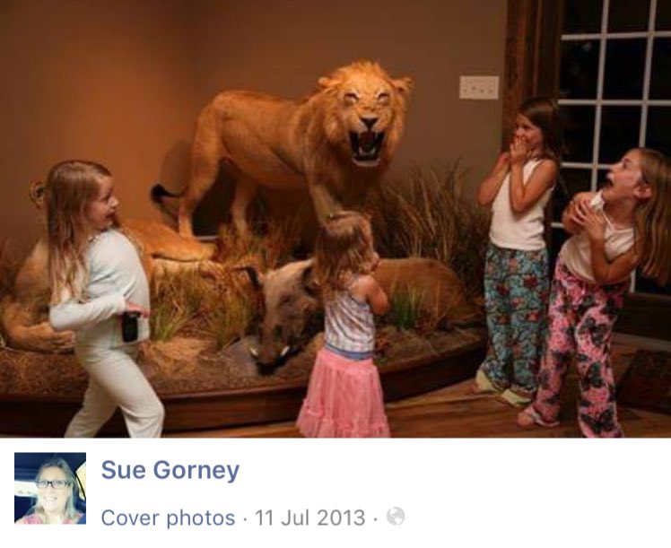 Shot and killed, by Guy Gorney, while sleeping, taken from his place of birth and mounted in a man cave. Mocked by Gorney’s grandchildren, someone commenting: "How funny, how cute."  What a sad ending for this magnificent animal.       <a href="/Protect_Wldlife/">PROTECT ALL WILDLIFE</a> <a href="/PeterEgan6/">Peter Egan</a> <a href="/rickygervais/">Ricky Gervais</a>