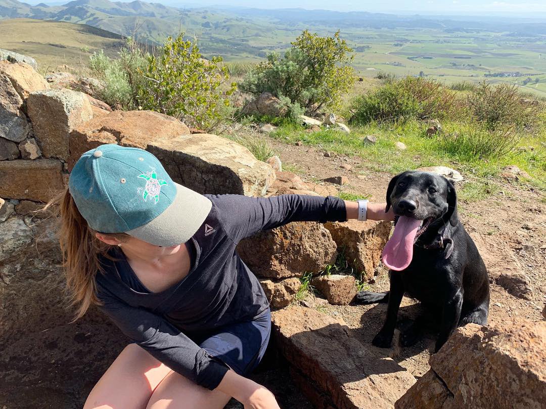 xtina_atchison's tweet photo. Swipe➡️for a close-up of Reese’s reaction when I told her the labrador retriever is the most popular dog breed🐾
#smalldogbigtongue #reesegram #littlelab #labsofinstagram #labradorretriever #labrador #blacklab #black_lab_squad #dogsofinstagram #dogsofslo #americankennelclub #akc https://t.co/MtgvhPBpM9