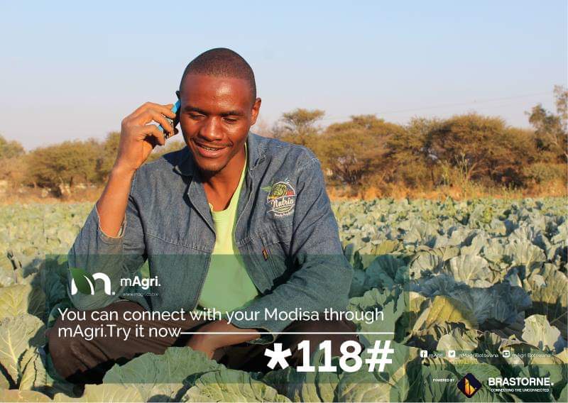 MagriBotswana's tweet photo. ITS EASIER TO CONNECT NOW! 

From your Modisa to other farm traders to anyone in rural areas, its much easier to connect now with mAgri! People without smartphones can connect to the digital world.

Try mAgri platform now and dial *118# only on Orange. Its free the first month. https://t.co/GQsNZH3FXM