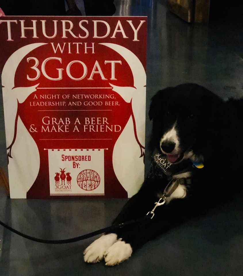 Don't forget to join us tonight at @SwitchyardBeer for Thursday with 3 Goat! It's a great opportunity to meet other #professionals in #Bloomington, plus you can say hi to this guy!

Tickets on sale at: bit.ly/2ueVVO5
#networking #indiana #btown #btownevents #connections
