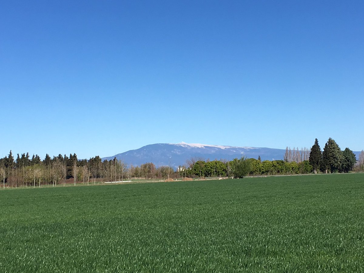 coteprovence84's tweet photo. @MontVentoux #provence https://t.co/4KUUErtLyn