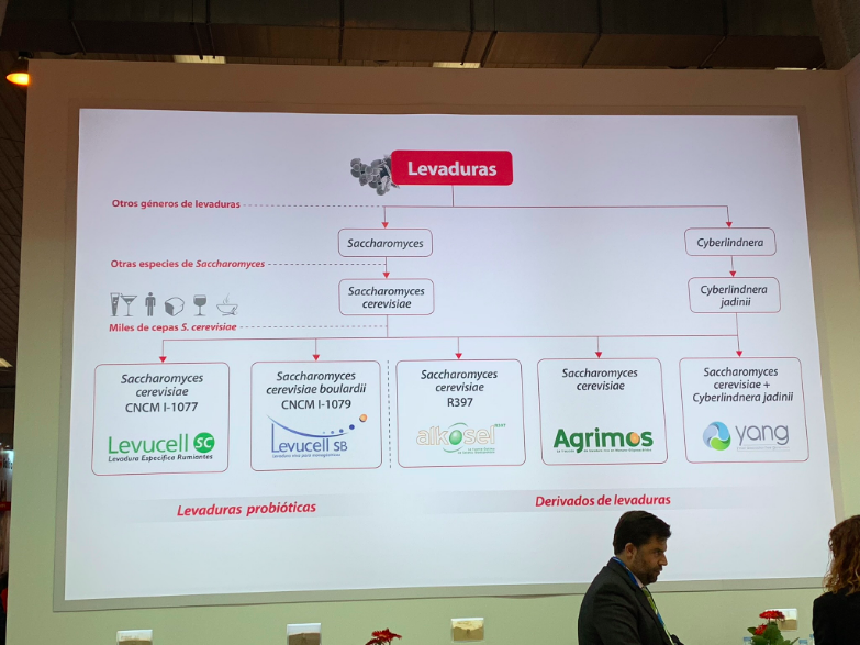 PandaAgricultur's tweet photo. Algunas empresas interesantes (III) de nuestra visita al #Figan en Zaragoza #Rotecna #SemenCardona #Lallemand #Levaduras #Ganaderia https://t.co/XBwBjvM9qv
