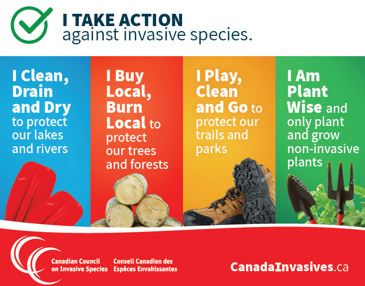 Do you take #action against #invasivespecies? #PlayCleanGo #CleanDrainDry #BuyLocalBurnLocal #PlantWise