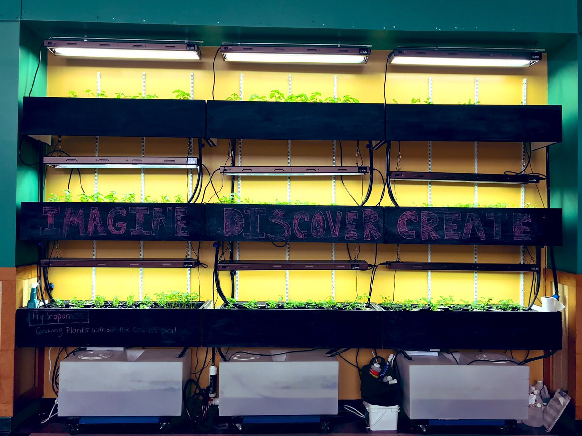 MsWellnessEdu's tweet photo. One week of growth. #Hydroponic Grow Wall. #HWEdFund https://t.co/twwFtf2VYC