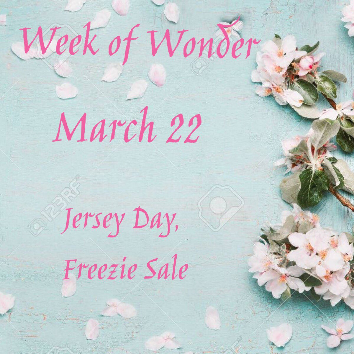 ThurberRaiders's tweet photo. Our last day of Week of Wonder is on us! Make sure you wear your jersey and stop by the exec office at lunch to buy a freezie! https://t.co/mvhAQqWDRA