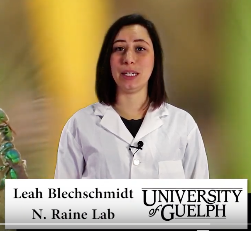 NigelERaine's tweet photo. If you're interested in wild #pollinators &amp; sustainable agriculture, please give this 1-min video a watch: https://t.co/9KbyUWLTnl It's all about the importance of habitat around orchards to support apple #pollination @LeahBeeSchmidt @InsectAaron @1in3mouthfuls @UofG_FfT https://t.co/CZeNF5h9rm