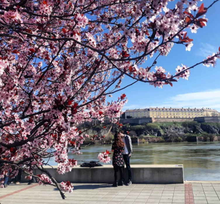 Prolećna ... #novisad <a href="/novisad/">Novi Sad</a> by IG:__maria__photography__