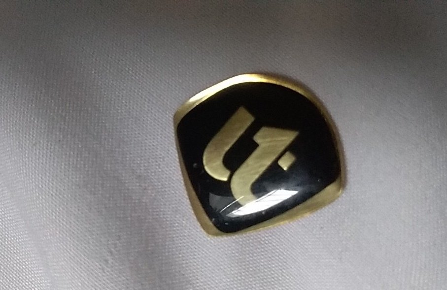 LidiaLopezHn's tweet photo. ¡¡Me encantó!!
#TeamUnitec❤️ https://t.co/tvwamn6jHT