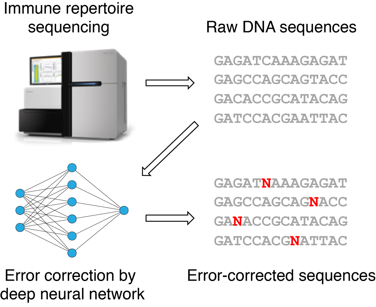 EndeavorBio's tweet photo. Our ErrorX platform uses deep learning to identify errors in #antibody repertoire datasets, before they cause a problem. #ErrorX #AIRRseq #immunology #DeepLearning https://t.co/BGjMOXadM1
