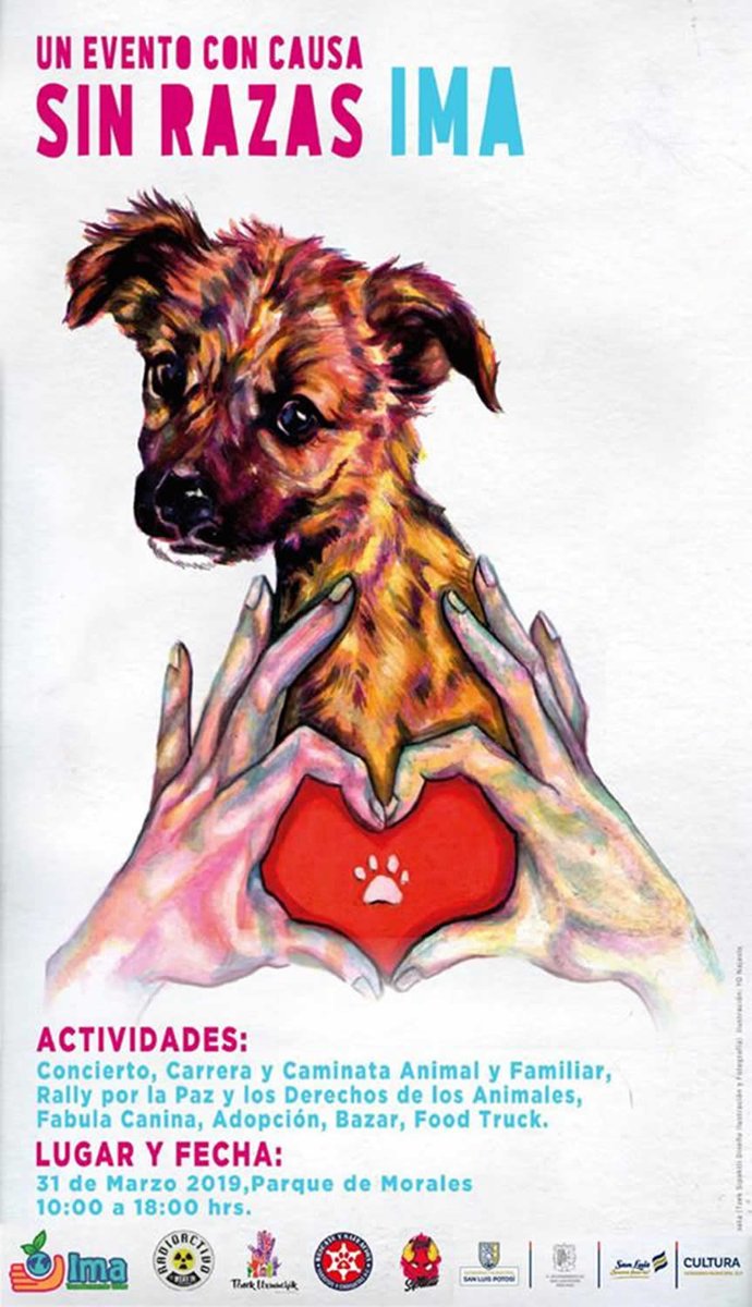 pignedo's tweet photo. #EquipoTenek y Transformando Ima te invitamos a concientizar sobre los derechos de los animales a través de dinámicas en familia #SinRazasIma Concierto, Fabula canina, carrera, rally, adopción de perros, etc. Parque de morales slp 31 marzo 11:00 a 18:00 #ImatransformandoVidas https://t.co/Pve6qyjVLe