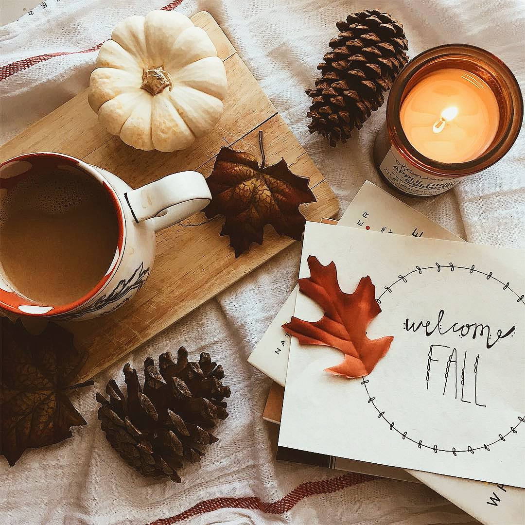 tocamagica's tweet photo. seja muito bem-vindo, Outono seu lindo! ☕🍁🍂
minha estação favorita 🧡
📷 foto linda por @saraaa_isabel
#bemvindooutono #outono #welcomeautumn #autumn https://t.co/tFfLSklRmX
