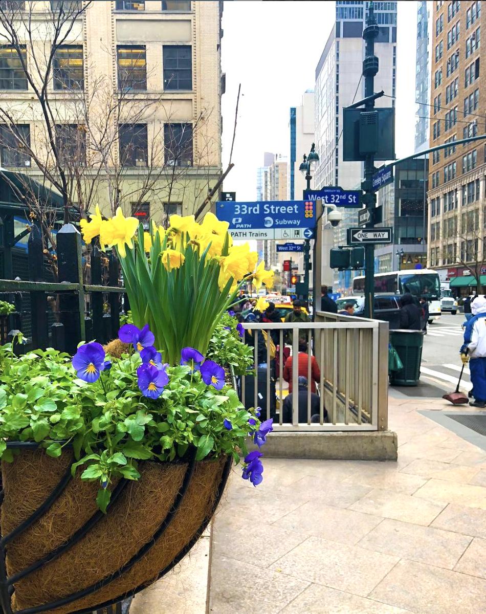 Spring is in the air. 

 #distrikthotelnyc #attractions #midtown