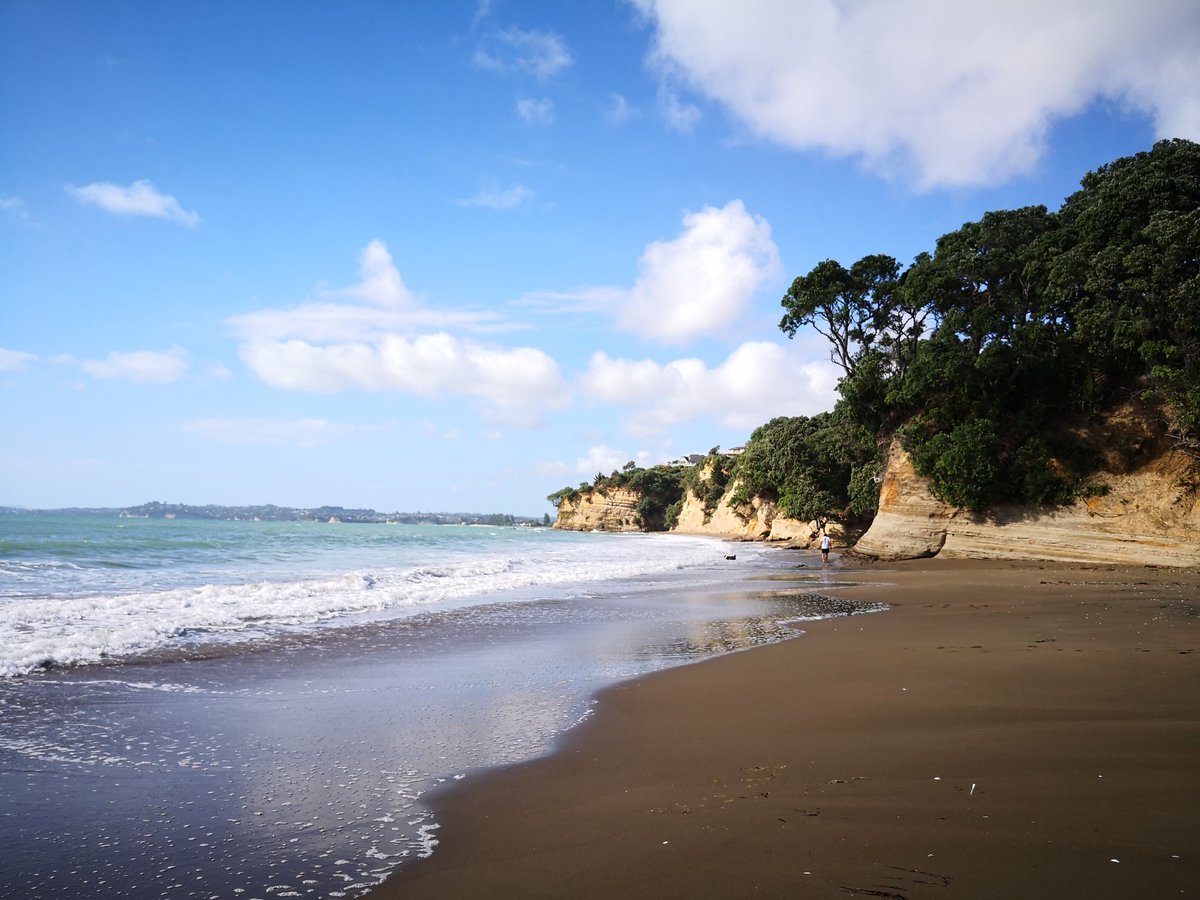 jolee8's tweet photo. No other place I rather be.
Photo taken at #HatfieldsBeach with #HuaweiMate10Pro #noedit #nofilter.
#NZ #NewZealand #Orewa #YesPureNZ #pureNZ #travel #nature #landscape #nzmustsee #naturephotography #kiwi #roadtrip #HuaweiPhotography #landscapephotography #NorthIsland https://t.co/Ydi4QN9Q6Z
