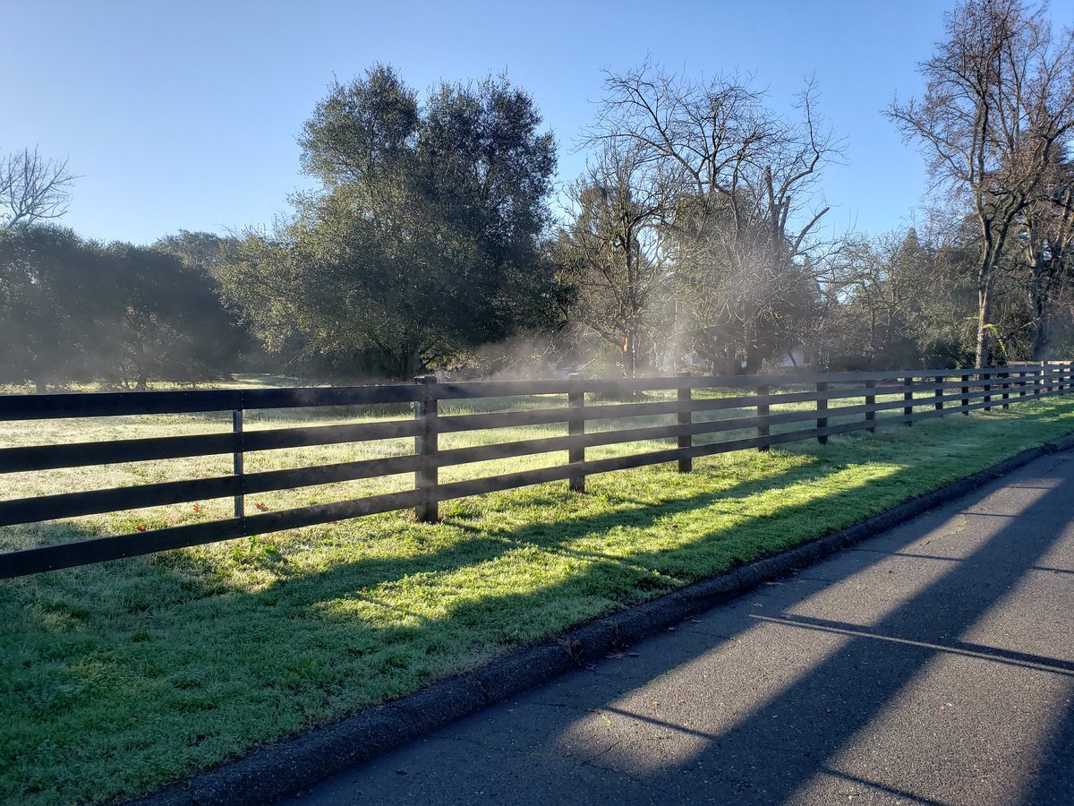 Just stopping to look at nature.#mackandfaulkner, #sebastopol, #sebastopolrealestate, #sonomacounty, #luxuryrealestate, #realestate