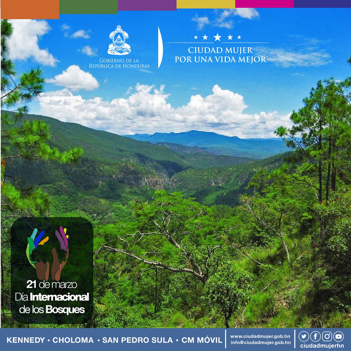 Proteger los bosques es fundamental para nuestro futuro.

¡Por ti, por Honduras y por las nuevas generaciones, cuida los bosques!

#CuidemosLosBosques #CiudadMujerHN #PorUnaVidaMejor