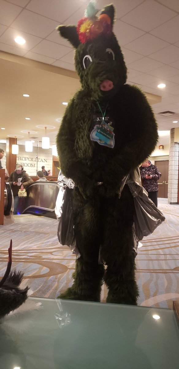 🖤Shaodow Wolf 🖤 FE2027 tweet media