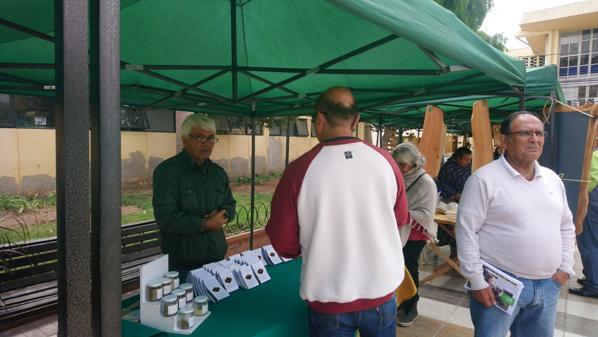 chef_edgardo's tweet photo. Y Aquí estamos presente , en la #PlazadeArmas de #Coquimbo apoyando a #ProductoresdelaRegión y nuestra @Agroecologica en el #CortedeCinta junto a la #Concejal #MariaRosettaParis.!! 😊 https://t.co/Vb7cZxjQwG