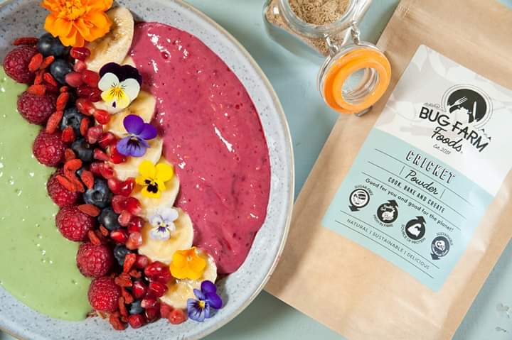 bugfarmfoods's tweet photo. Cricket powder #superfood smoothie bowl anybody? Did you know that our #cricket powder is over 66% protein, sugar-free, high in fibre and contains all 9 essential amino acids? #edibleinsects #entomophagy #cookbakecreate #foodofthefuture #protein #wellness #bugfarmfoods https://t.co/xbAJ8X8HlQ